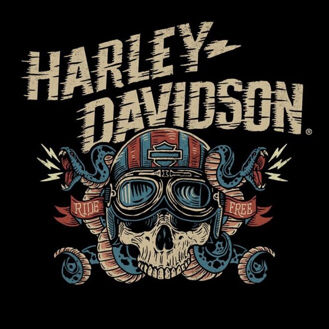 © Harley Davidson © Harley Davidson