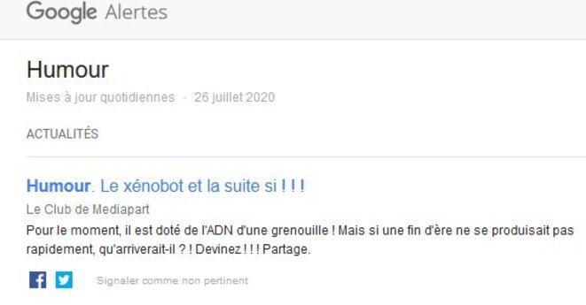 le-xenobot-et-la-suite