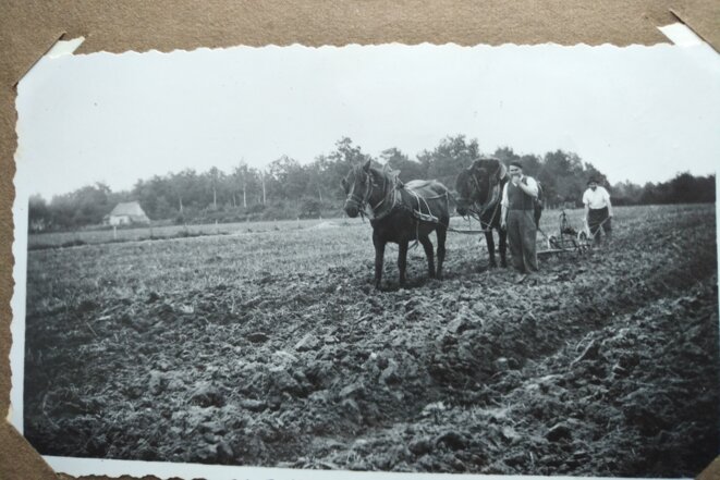 Au champ (la Chaume des pendus) © Rêveries de Coco Au champ (la Chaume des pendus) © Rêveries de Coco
