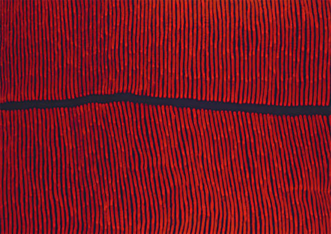 dessin aborigène dessin aborigène