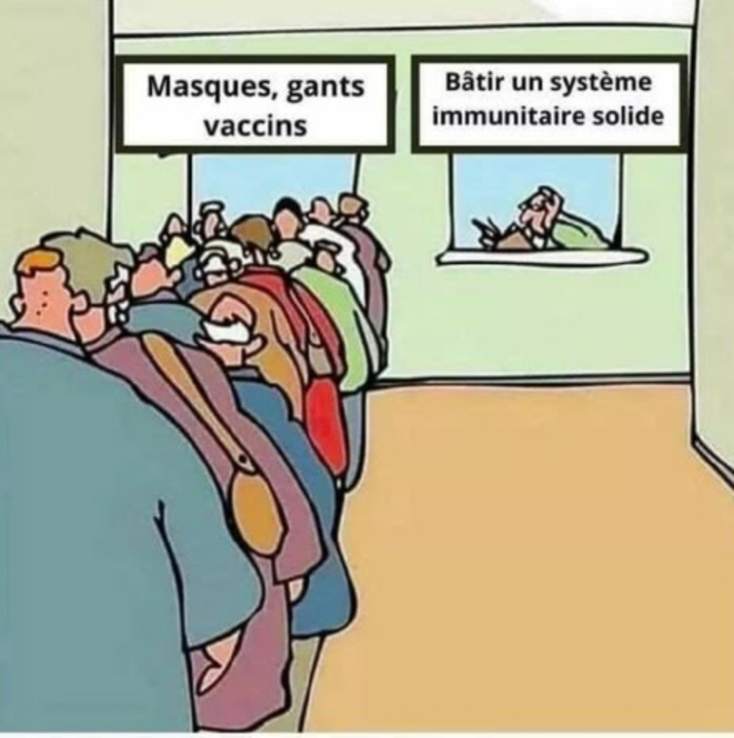 cmc-systeme-immunitaire-dessin