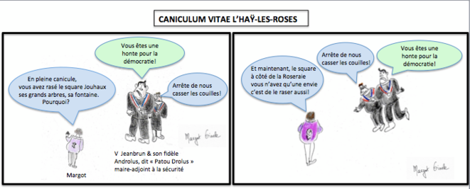 cuniculum-vitae-lhay-les-roses