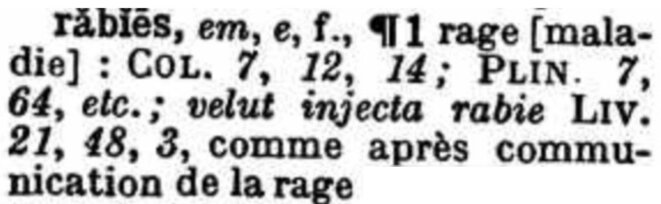rabies-1