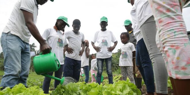 Gabon | Jeunesse et retour à la terre. Gabon | Jeunesse et retour à la terre.