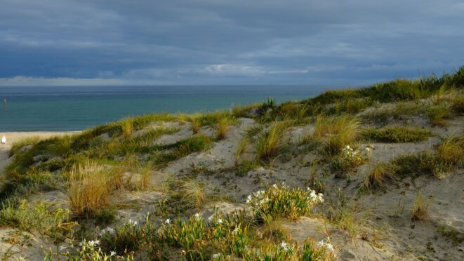 La plage sauvage © Vent d'Autan La plage sauvage © Vent d'Autan