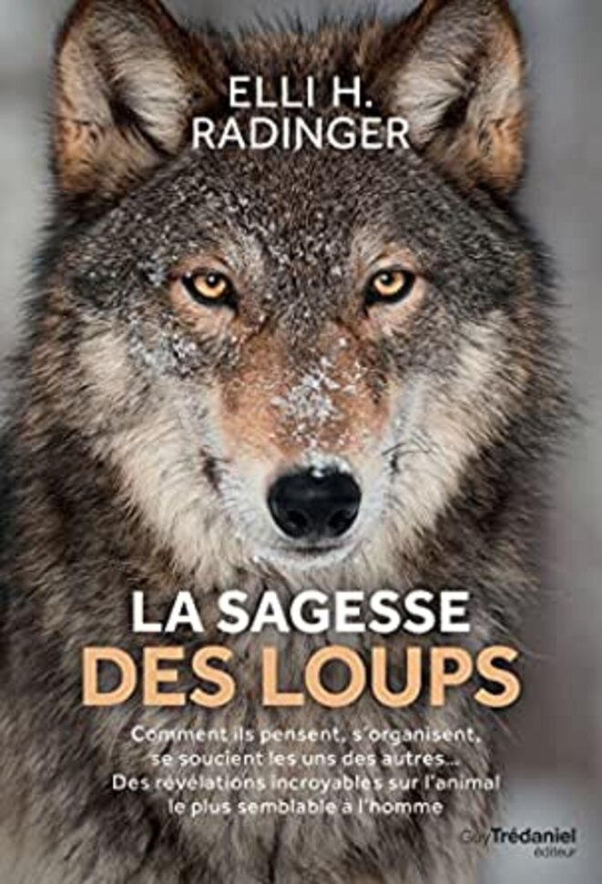 La sagesse des loups © Elli H. Radinger La sagesse des loups © Elli H. Radinger