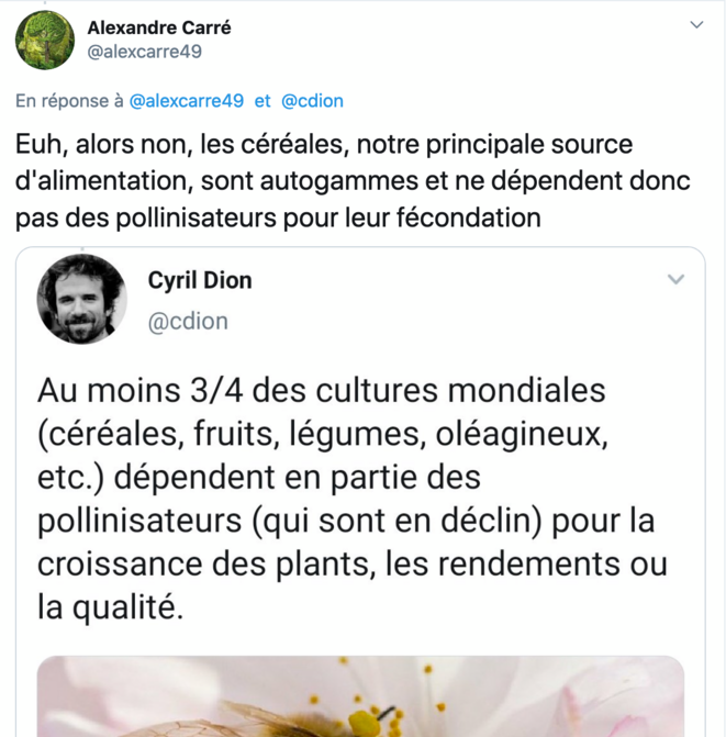 tweet-pollinisation