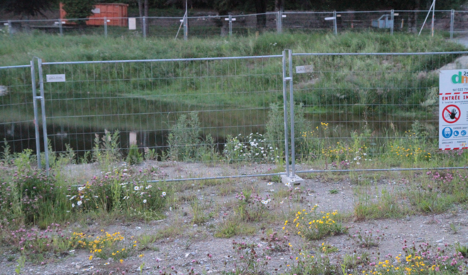 Un chantier en attente dans la campagne lausannoise (Chalet-à-Gobet) formant un écosystème et une biodiversité éphémères, remplacés depuis par des logements pour une haute école internationale. La somme à débourser chaque semestre pour y être admis est excessivement élevée, même du point de vue suisse (une trentaine, jusqu'à une quarantaine de milliers de francs/d'euros quand un semestre à l'Université publique coûte plus ou moins 400 francs/euros). Cette somme sert ainsi de filtre social et assure la reproduction sociale. Un enrichissement de privés au détriment d'une richesse collective. Un chantier en attente dans la campagne lausannoise (Chalet-à-Gobet) formant un écosystème et une biodiversité éphémères, remplacés depuis par des logements pour une haute école internationale. La somme à débourser chaque semestre pour y être admis est excessivement élevée, même du point de vue suisse (une trentaine, jusqu'à une quarantaine de milliers de francs/d'euros quand un semestre à l'Université publique coûte plus ou moins 400 francs/euros). Cette somme sert ainsi de filtre social et assure la reproduction sociale. Un enrichissement de privés au détriment d'une richesse collective.