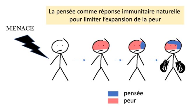 La gestion mentale de la menace : place occupée par la peur et la pensée face à une menace lorsque la pensée l'emporte et canalise la peur pour mieux faire face à la menace. La gestion mentale de la menace : place occupée par la peur et la pensée face à une menace lorsque la pensée l'emporte et canalise la peur pour mieux faire face à la menace.
