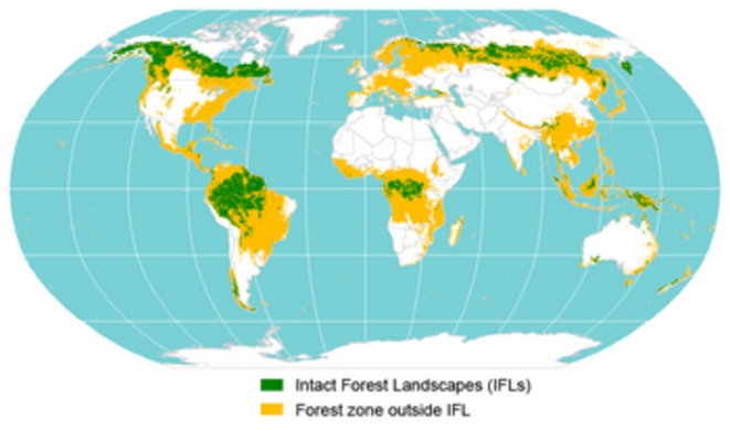 Carte mondiale des paysages forestiers intacts et des zones forestières dégradées Carte mondiale des paysages forestiers intacts et des zones forestières dégradées