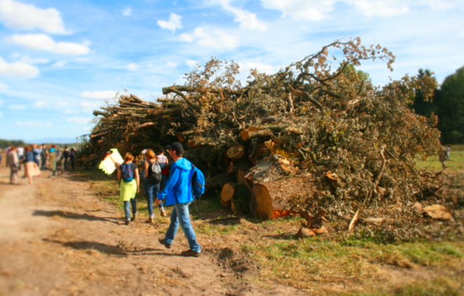 Le GCO s'est plus de 30 hectares de forêts massacrées à Kolbsheim et Vendenheim © GCO NON MERCI Le GCO s'est plus de 30 hectares de forêts massacrées à Kolbsheim et Vendenheim © GCO NON MERCI