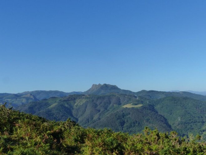 p1400857
