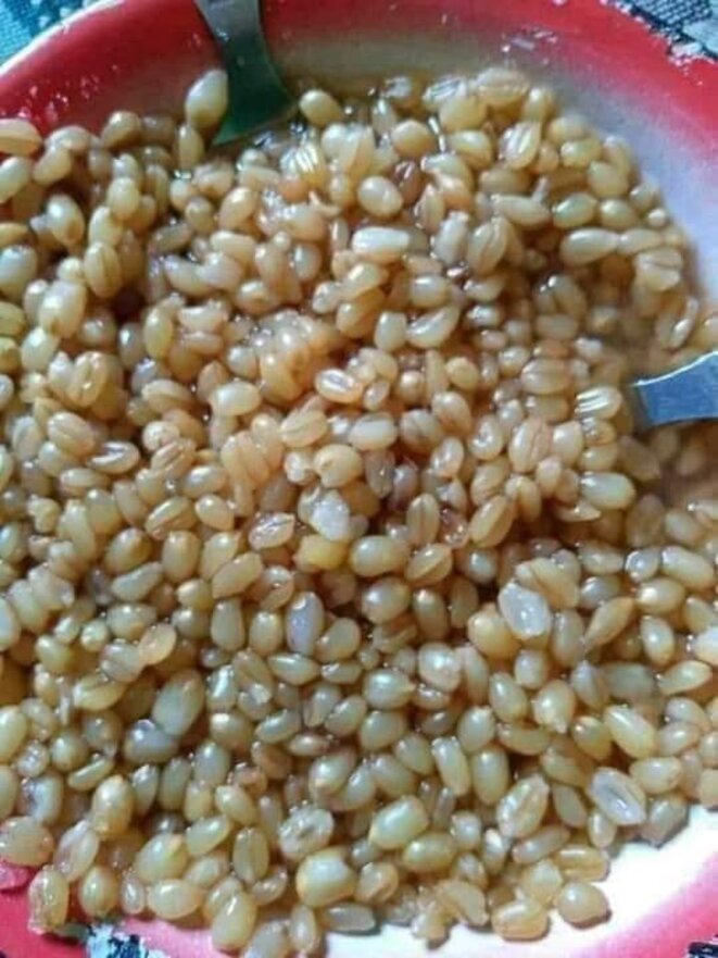 algerietraditions