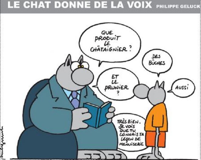 Humour Vu Le Contexte Le Chat Geluck Met Ses Pattes Dans Le Plat Le Club De Mediapart
