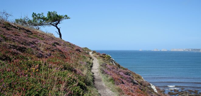 Notre dame de la lande