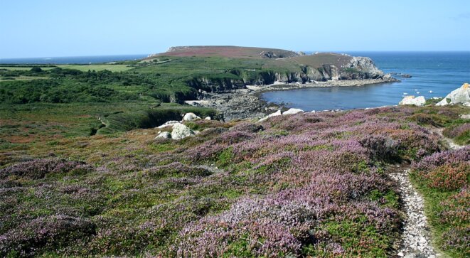 Sentier côtier dans l'anse de Dinan à Crozon (Finistère) © Patrice Morel (septembre 2020) Sentier côtier dans l'anse de Dinan à Crozon (Finistère) © Patrice Morel (septembre 2020)