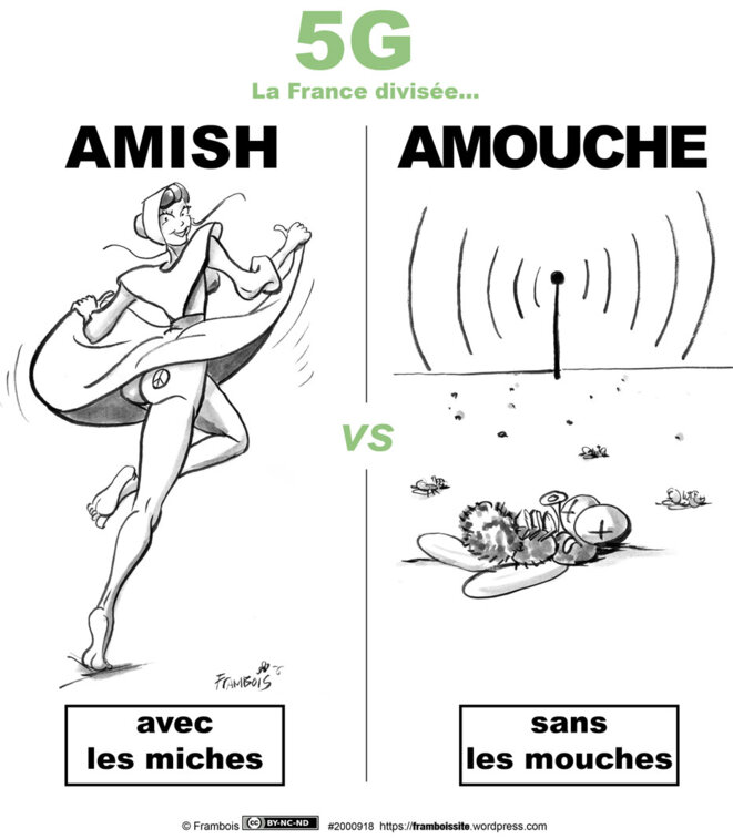 © Frambois © Frambois