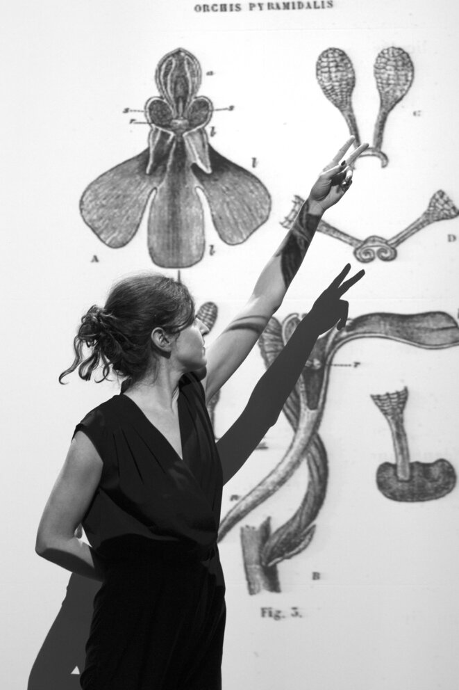 Scène de la conférence "De la sexualité des orchidées" © Anna Basile Scène de la conférence "De la sexualité des orchidées" © Anna Basile