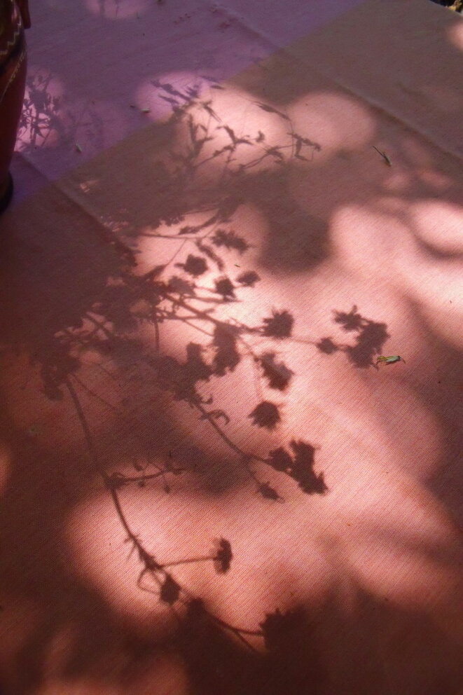 © Marianne A © Marianne A