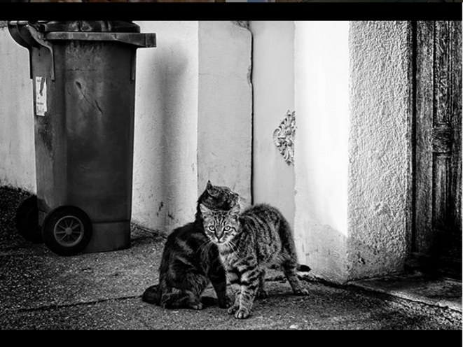 Friends © Luna TMG Instagram Friends © Luna TMG Instagram