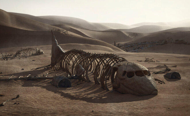 Fossile daté du XXIème siècle © SpArtS Gallery Fossile daté du XXIème siècle © SpArtS Gallery