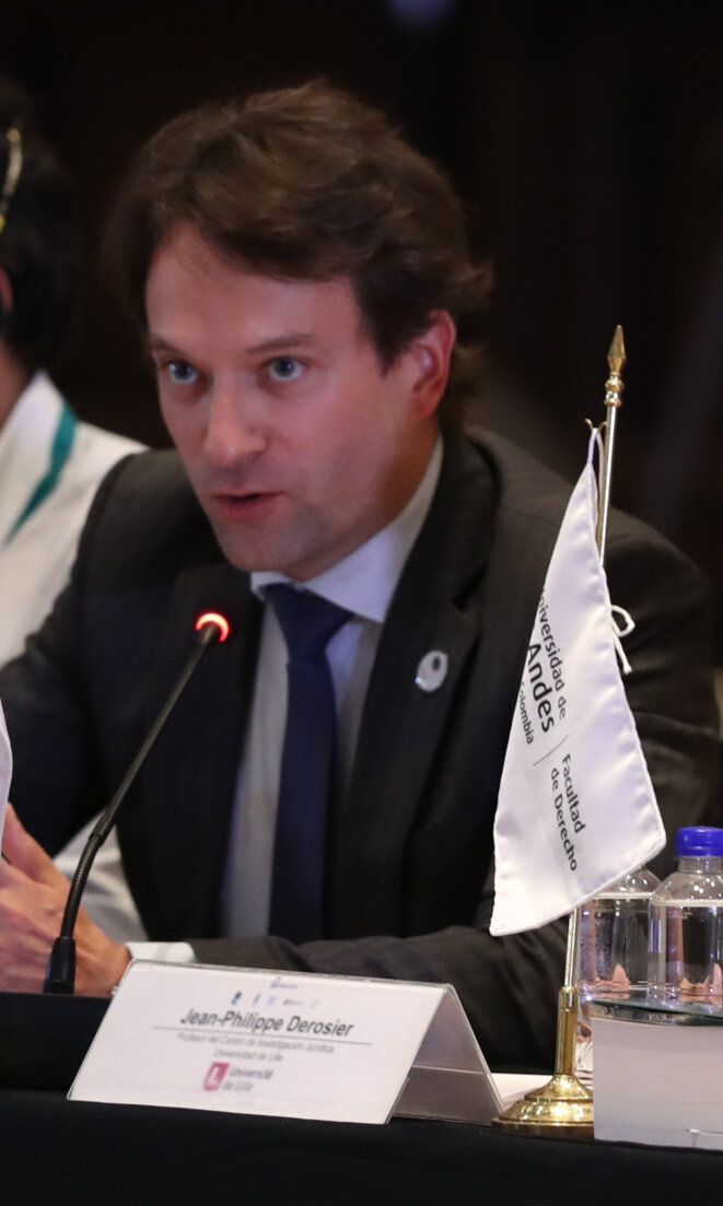 Jean-Philippe Derosier intervenant au Réseau mondial de justice électorale (2019). © «Richardcœurdelion2202»/Wikimedia Commons, lic. CC-BY-SA int. 4.0. Jean-Philippe Derosier intervenant au Réseau mondial de justice électorale (2019). © «Richardcœurdelion2202»/Wikimedia Commons, lic. CC-BY-SA int. 4.0.
