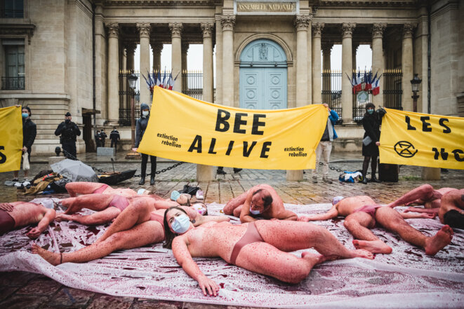 A protest by members of the Extinction Rebellion movement in front of the French parliament during the debates over the partial lifting of the ban on the use of neonicotinoids, October 5th 2020. © NurPhoto/AFP A protest by members of the Extinction Rebellion movement in front of the French parliament during the debates over the partial lifting of the ban on the use of neonicotinoids, October 5th 2020. © NurPhoto/AFP