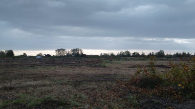 destruction-arbres-calais