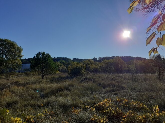 En haut de la colline, la partie du tronçon en cours de déforestation En haut de la colline, la partie du tronçon en cours de déforestation