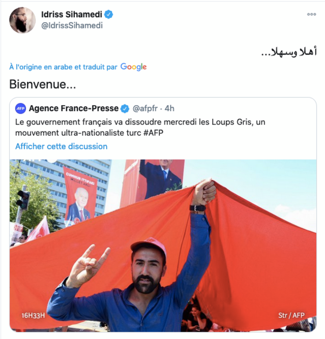 sihamedi-loups-grisi