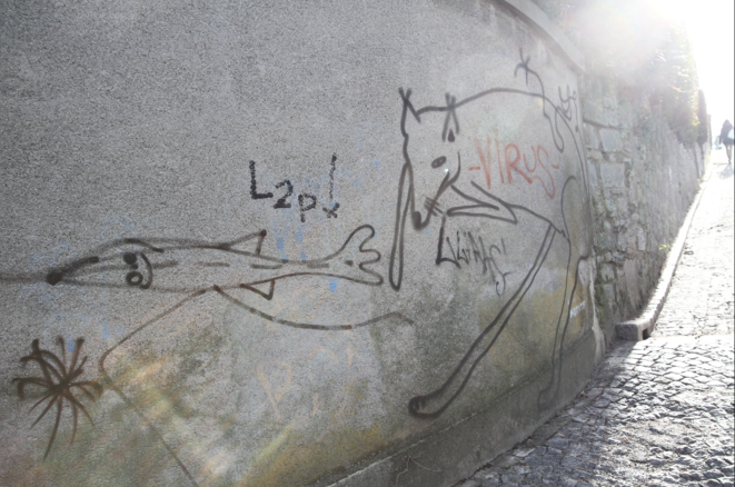 Réduire la société à un groupe d'êtres humains n'est pas tenable, tant d'autres types de vies influencent les nôtres. Cet enchevêtrement, présent dans nos représentations, ne peut rester sans traduction politique. (Graffiti à Zurich, 2016). Réduire la société à un groupe d'êtres humains n'est pas tenable, tant d'autres types de vies influencent les nôtres. Cet enchevêtrement, présent dans nos représentations, ne peut rester sans traduction politique. (Graffiti à Zurich, 2016).