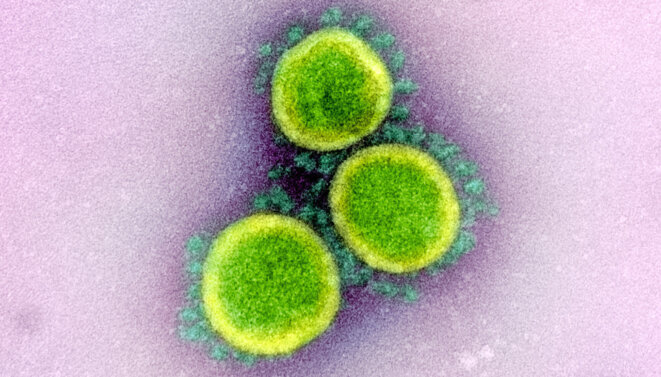“Novel Coronavirus SARS-CoV-2” © National Institute of Allergy and Infectious Diseases (NIAID) licensed CC BY
