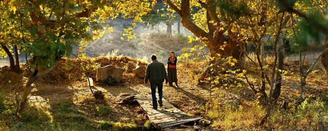 Le poirier sauvage (2018, Nuri Bilge Ceylan) - Racines domestiques
