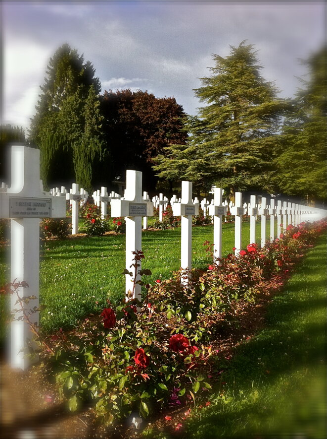 Les roses de là-haut © Patrice Morel (Douaumont, septembre 2013) Les roses de là-haut © Patrice Morel (Douaumont, septembre 2013)