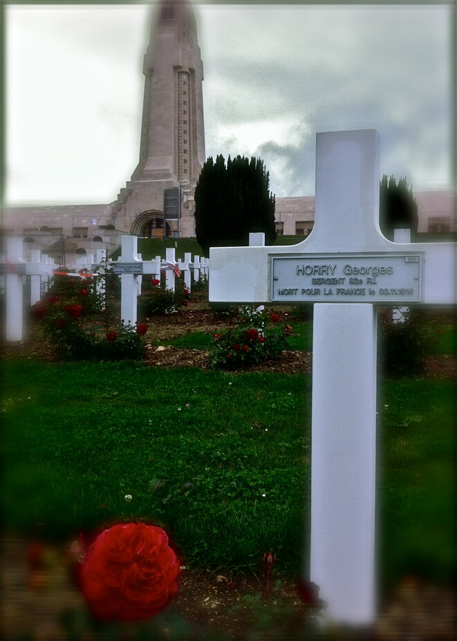 Mort au champ d'horreur le 3 novembre 2016 © Patrice Morel (Douaumont, septembre 2013) Mort au champ d'horreur le 3 novembre 2016 © Patrice Morel (Douaumont, septembre 2013)