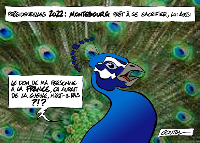 1-aaa-a-arnaud-montebourg-ds