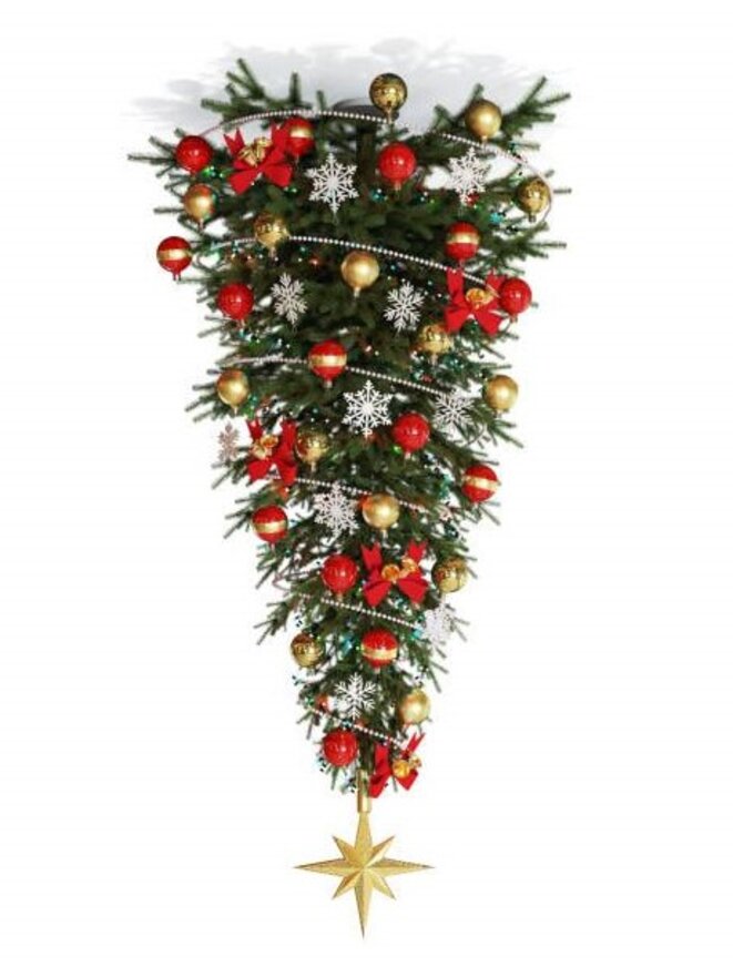 sapin-inverse