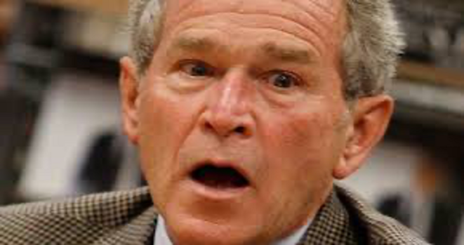 dr-bush