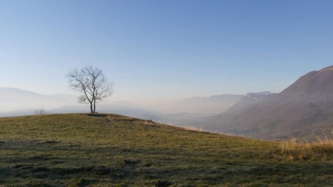 Morning, running and shooting