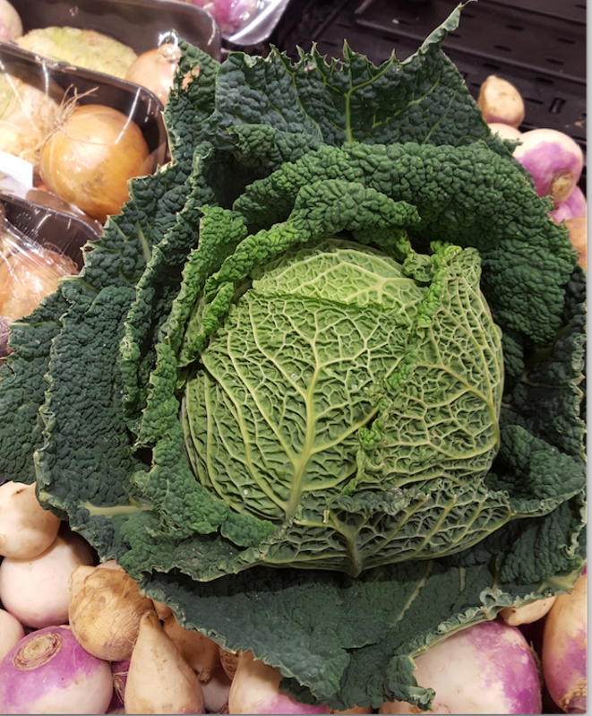 chou-vert-frise-2
