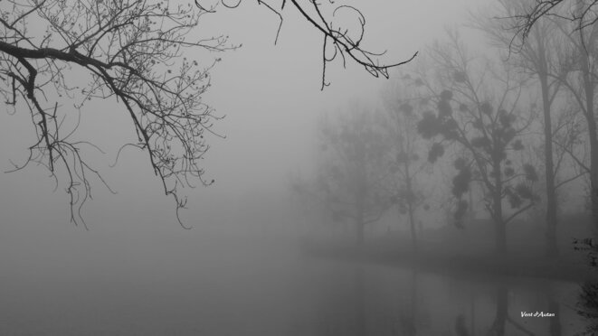 Sous la brume © Vent d'Autan Sous la brume © Vent d'Autan