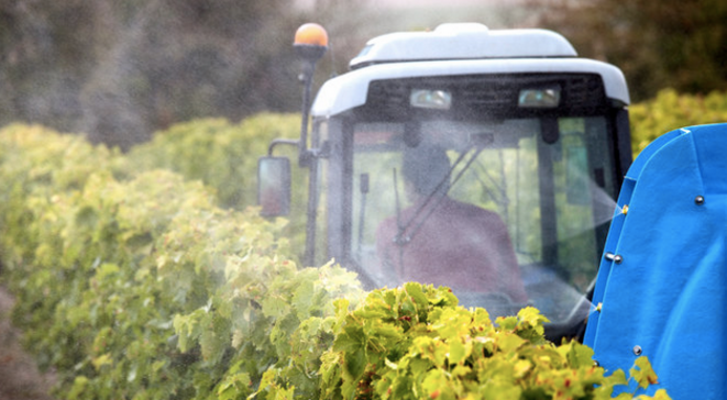Traitement de vignes au pulvérisateur. © Philippe Roy / Aurimages via AFP