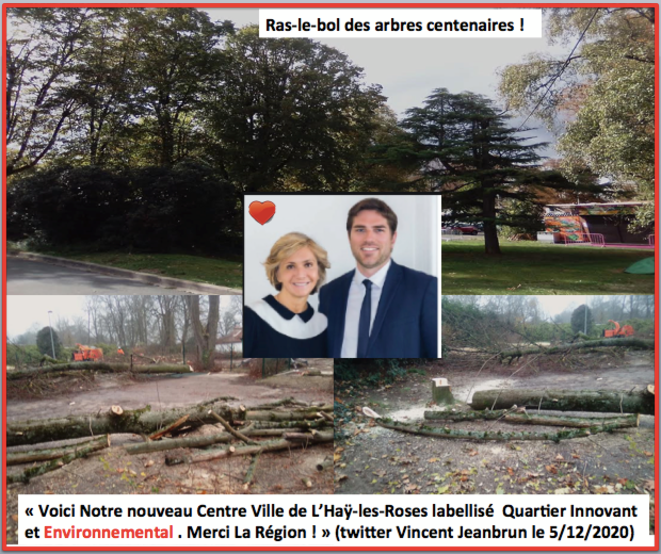 ras-le-bol-des-arbres-centenaires