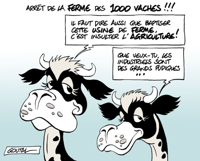 1-1000-vaches-out-ds