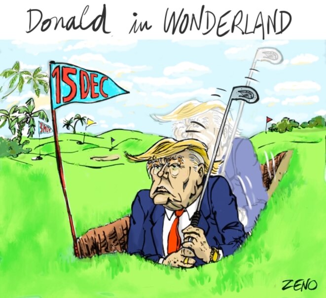 Donald in wonderland