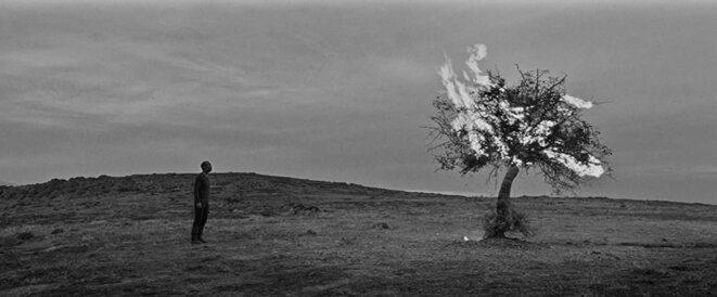 La particule humaine (2017, Semih Kaplanoglu) - Faire style fertile