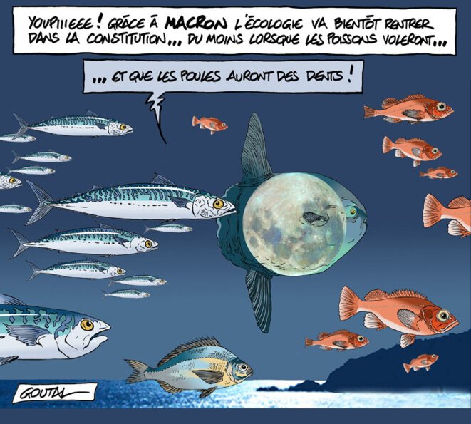 1-aaa-a-constitution-ecologie-ds