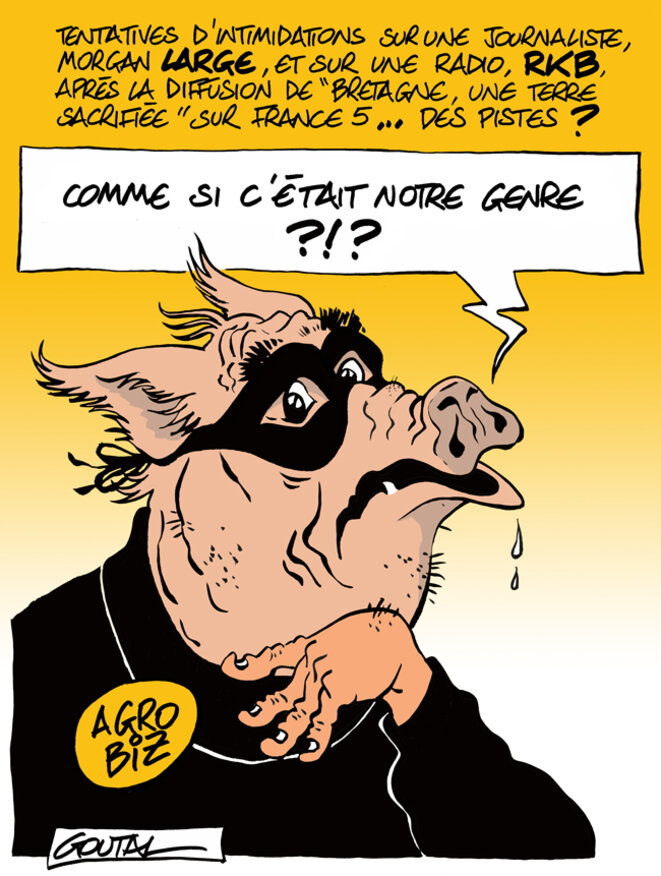 1-aaa-agro-intimidant-ds