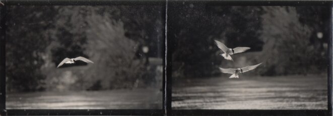© Jean-Baptiste Darrasse © Jean-Baptiste Darrasse