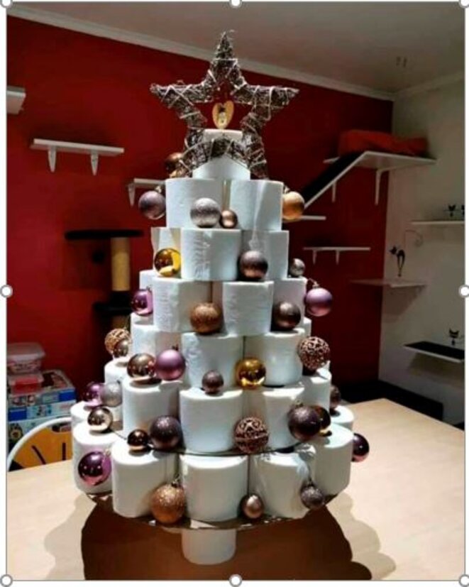 le-nouvau-sapin-de-noel